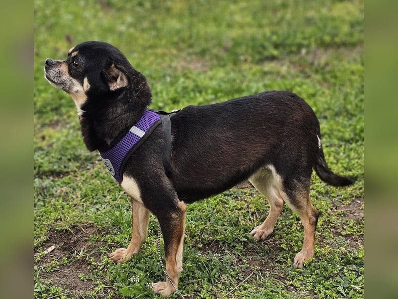 Insa benötigt Zeit um Bindung aufzubauen