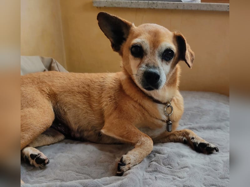 Sonnenanbeterin Elmi ❤️ menschenbezogen und lebensfroh - bereits in Deutschland