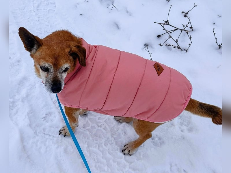 Sonnenanbeterin Elmi ❤️ menschenbezogen und lebensfroh - bereits in Deutschland