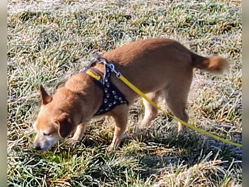 Sonnenanbeterin Elmi ❤️ menschenbezogen und lebensfroh - bereits in Deutschland