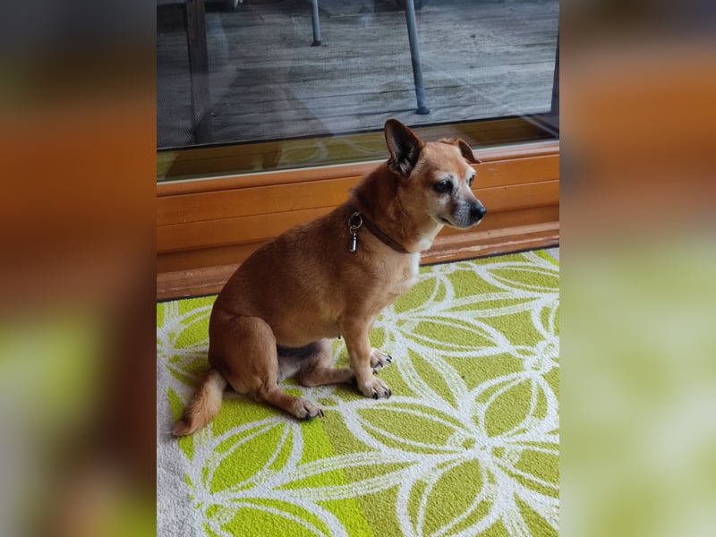 In Deutschland auf PS ❤️ Seniorin Elmi – menschenbezogen und lebensfroh