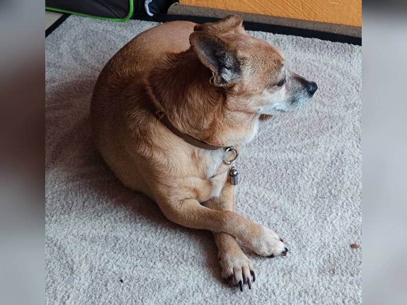 In Deutschland auf PS ❤️ Seniorin Elmi – menschenbezogen und lebensfroh