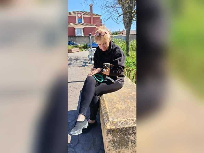 kleine, freundliche Dina sucht verantwortungsvolles Zuhause