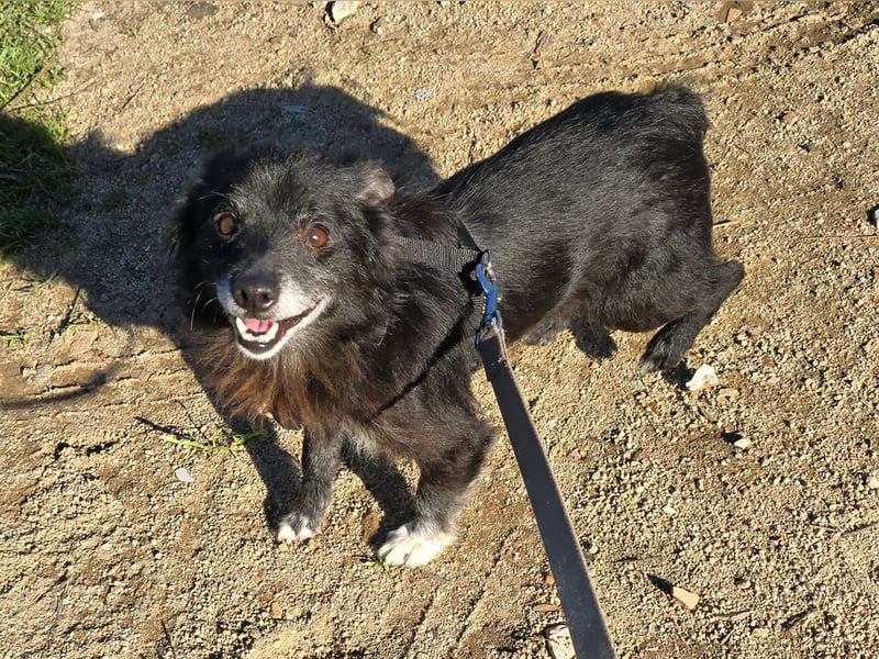 Mimmo und Mimma: Seniorenpärchen will zusammen bleiben