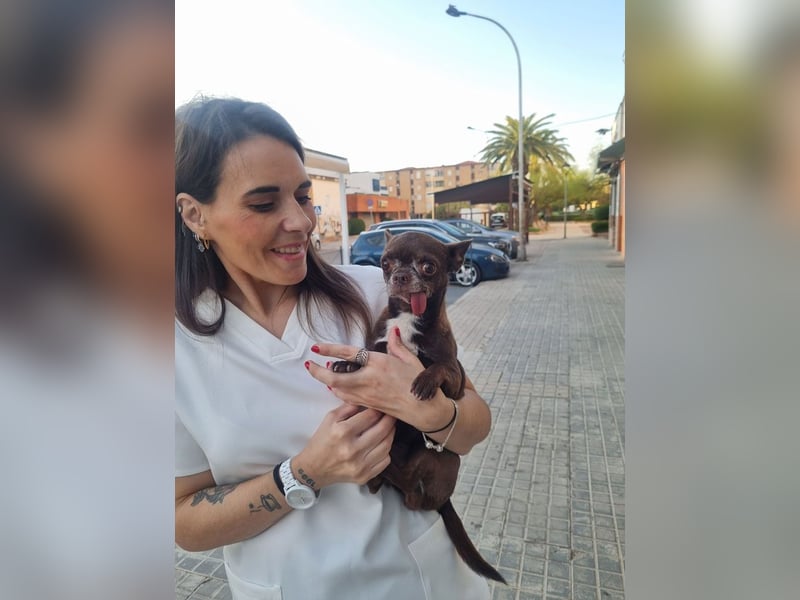 ESPARTACO sucht sehnsüchtig sein liebevolles "Für-immer-Zuhause"