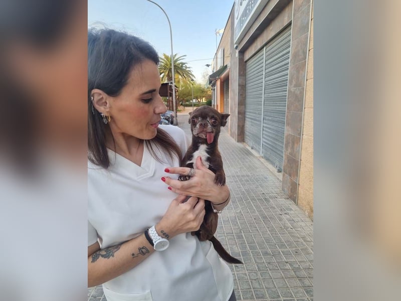 ESPARTACO sucht sehnsüchtig sein liebevolles "Für-immer-Zuhause"