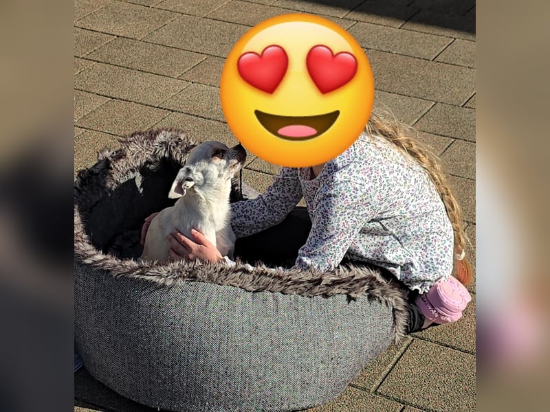 Die sensile Püppi wartet auf einer Ps in 44532 Lünen