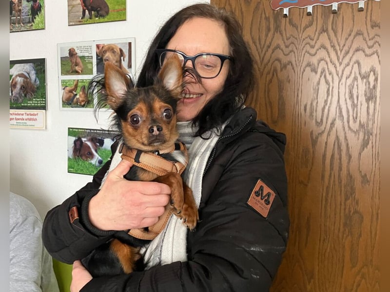 Jupi - aktives kleines Kerlchen - Tierhilfe Franken e.V.