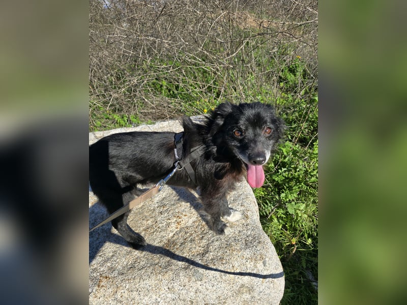 Mimmo und Mimma: zwei Zwerge auf dem Abstellgleis