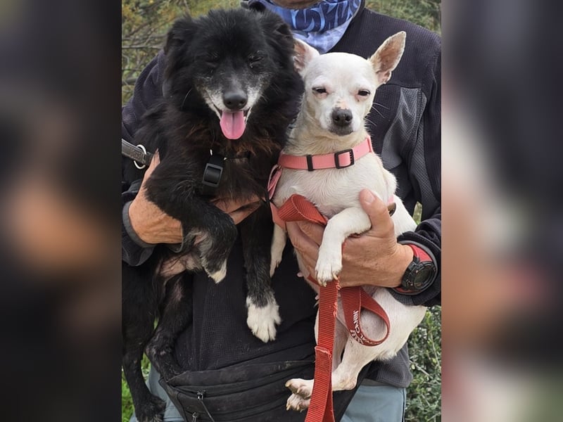 Mimmo und Mimma: zwei Zwerge auf dem Abstellgleis