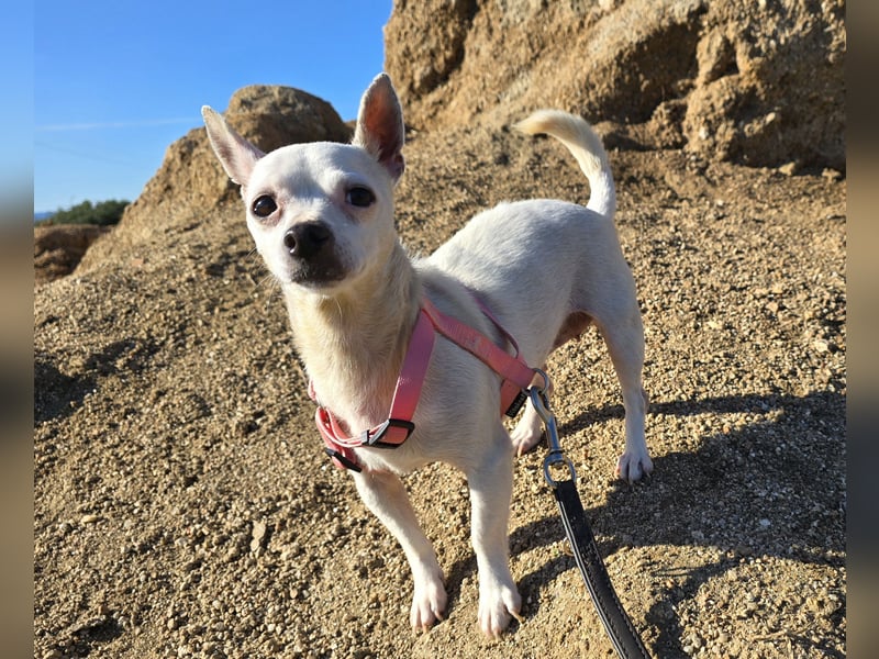 Mimmo und Mimma: zwei Zwerge auf dem Abstellgleis