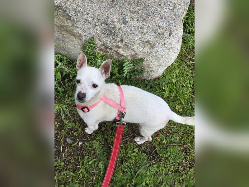 Mimmo und Mimma: zwei Micro-Schätze