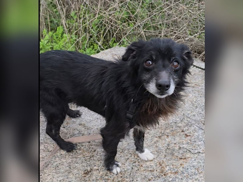 Mimmo und Mimma: zwei Micro-Schätze