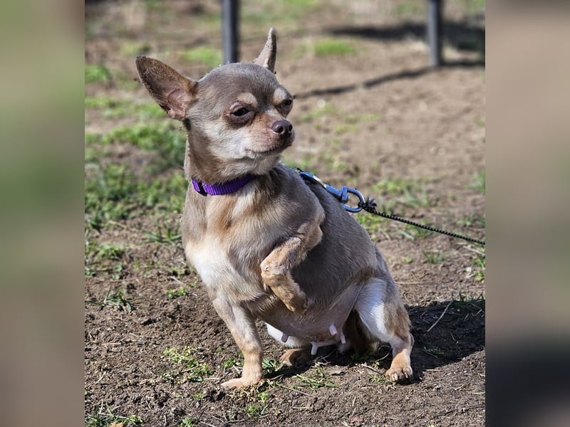 Padma braucht Liebe, Geduld,Verständnis