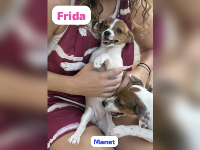 FRIDA besonderes Mädchen mit Handicap
