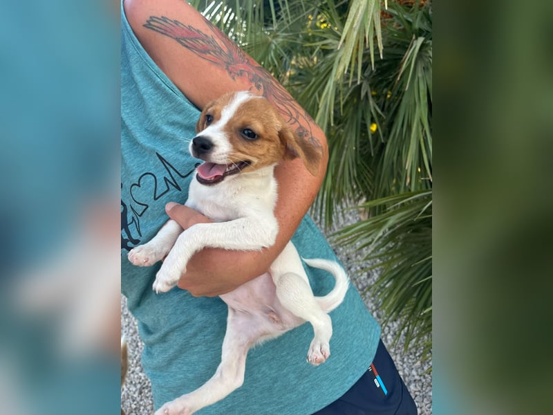 FRIDA besonderes Mädchen mit Handicap