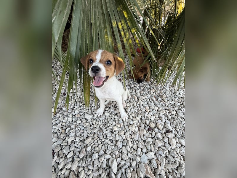 FRIDA besonderes Mädchen mit Handicap