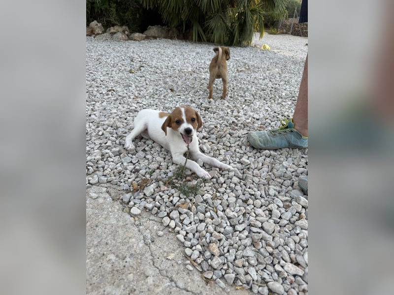 FRIDA besonderes Mädchen mit Handicap