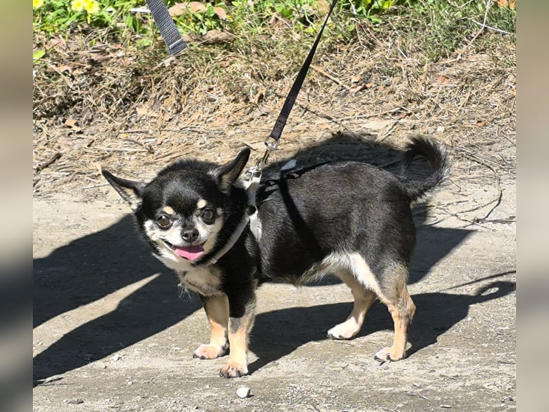 Bimba sucht liebevolle Menschen