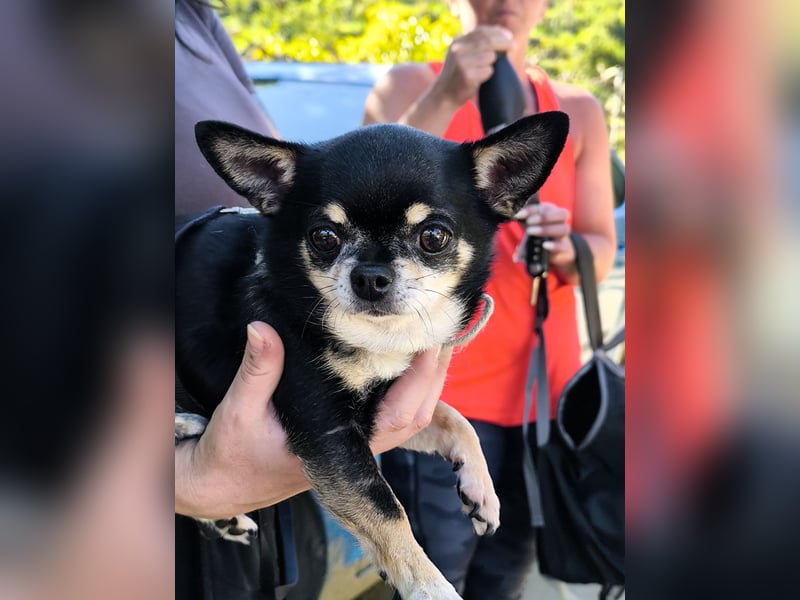 Bimba sucht liebevolle Menschen