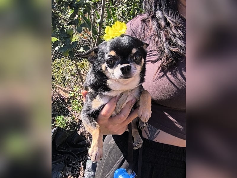 Bimba sucht liebevolle Menschen