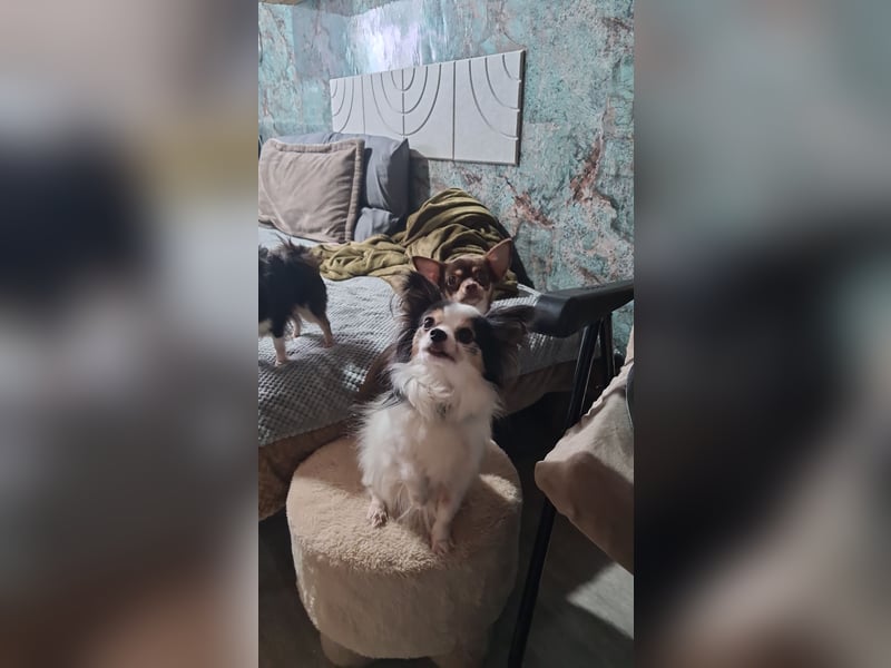 Clara (1) und Gino (5)