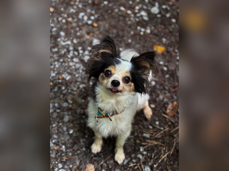 Clara (1) und Gino (5)