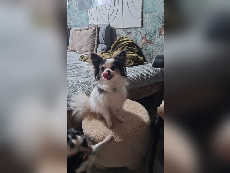 Clara (1) und Gino (5)