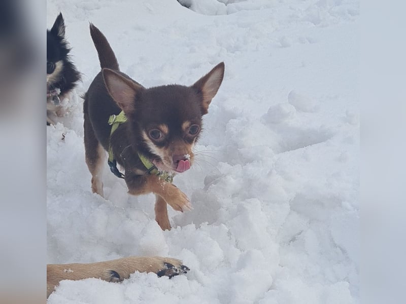 Clara (1) und Gino (5)