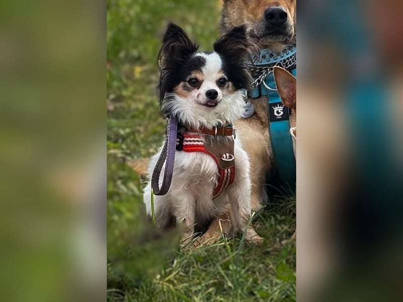 Clara (1) und Gino (5)