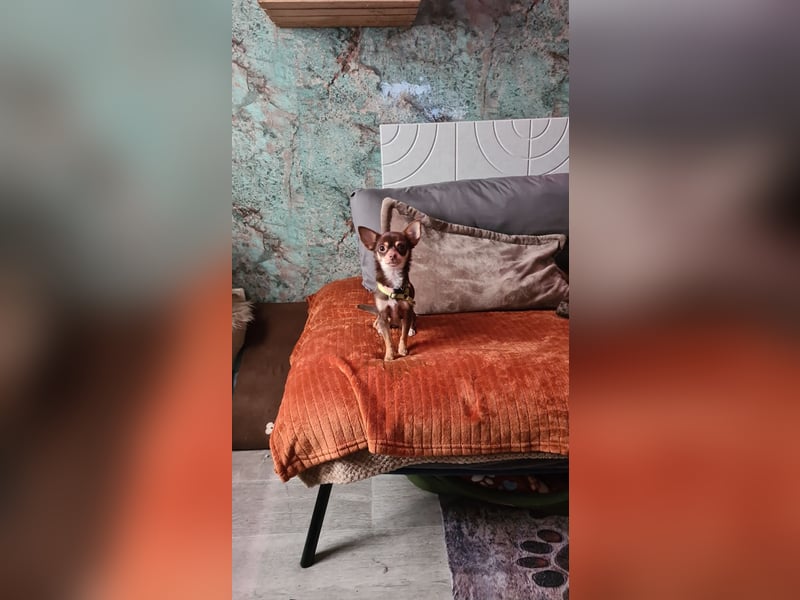 Clara (1) und Gino (5)