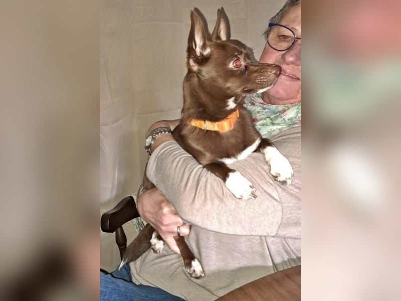 CHOCO ein bezaubender Winzling