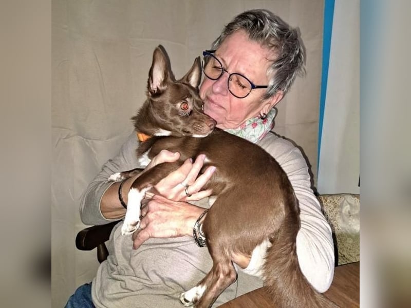 CHOCO ein bezaubender Winzling