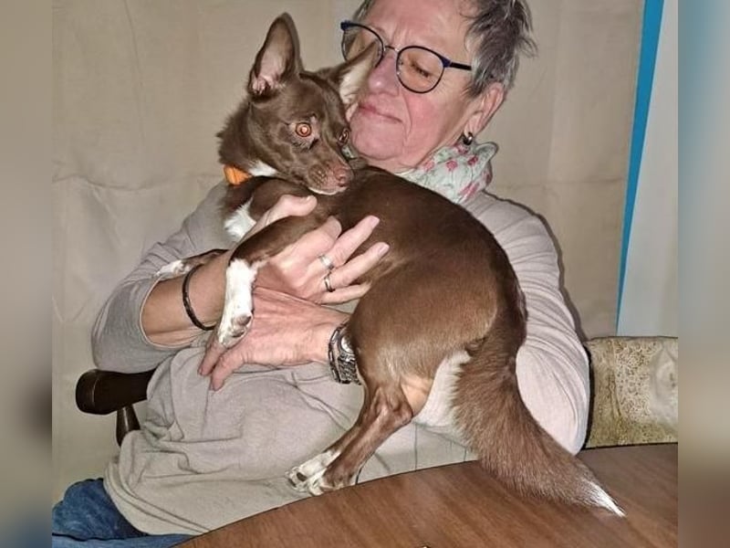 CHOCO ein bezaubender Winzling