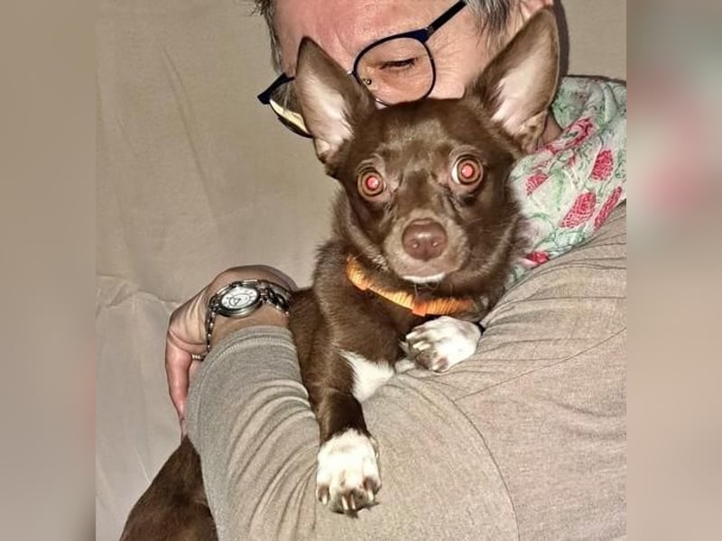 CHOCO ein bezaubender Winzling