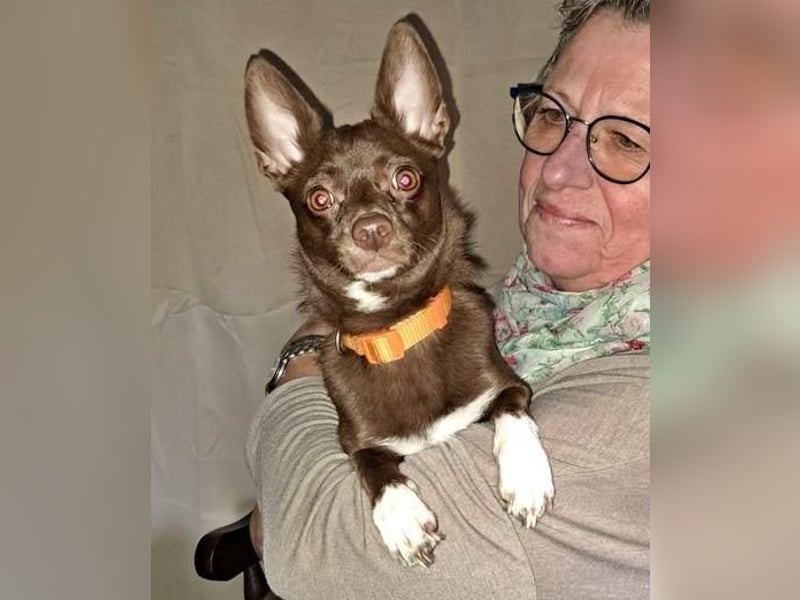 CHOCO ein bezaubender Winzling