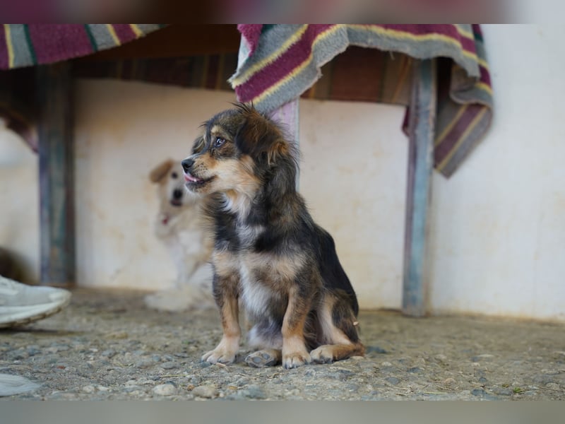 Bubu – kleiner Schatz mit großem Herzen