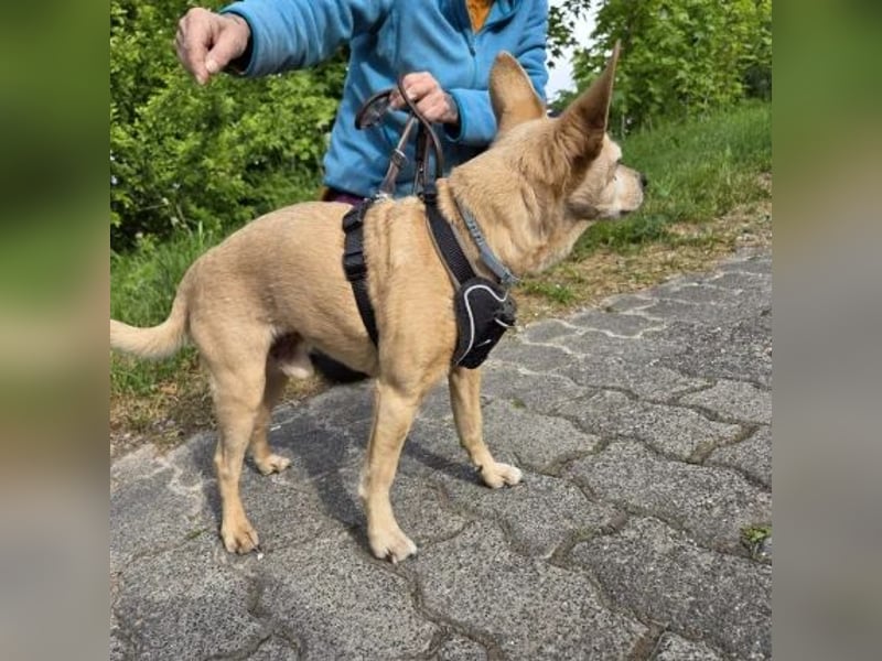 Max