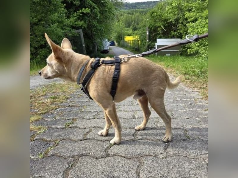 Max