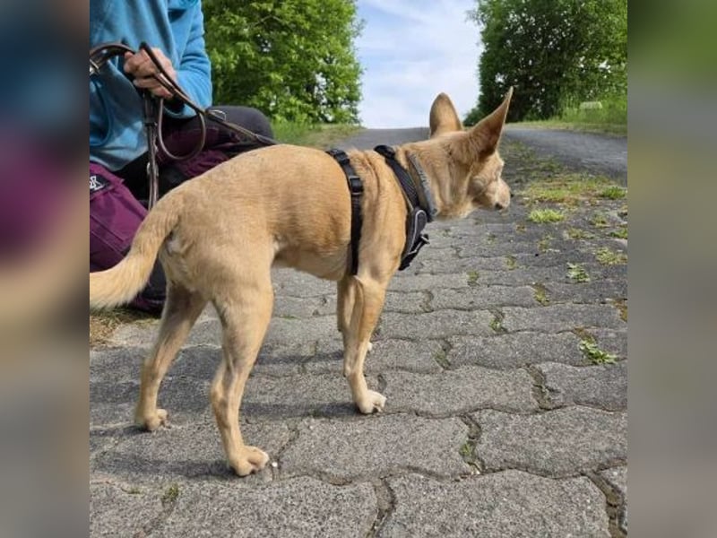 Max