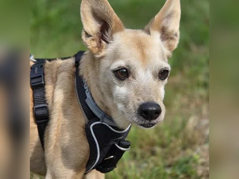 Max