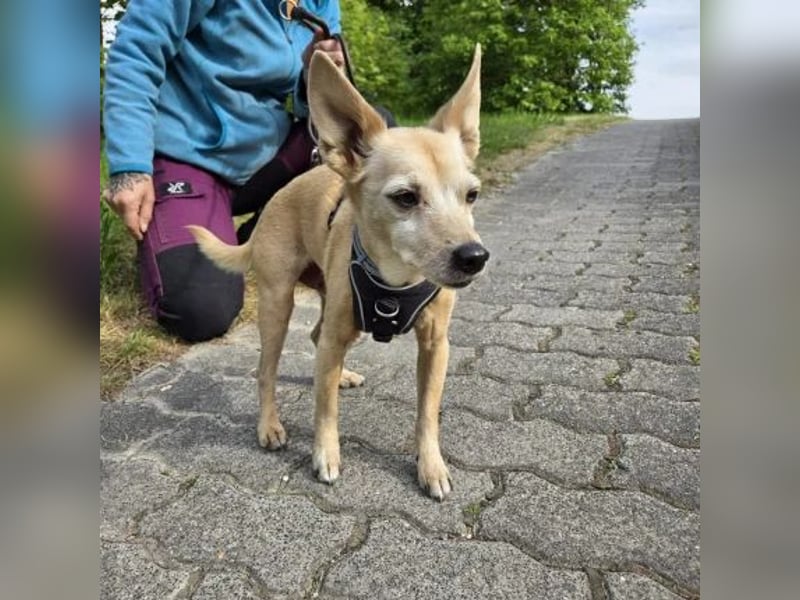 Max