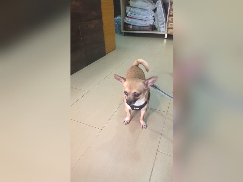NEO