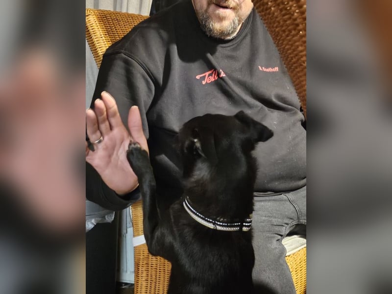 Kono - es ist nicht zu fassen