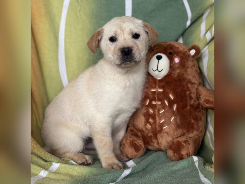 Timmy ein kleiner Sonnenschein