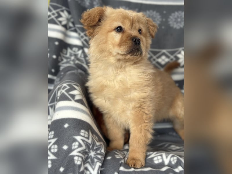 Lummy einer zum Knutschen