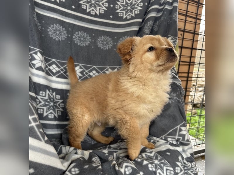 Lummy einer zum Knutschen