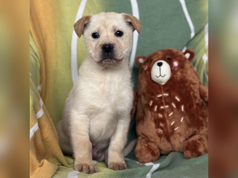 Timmy ein kleiner Sonnenschein