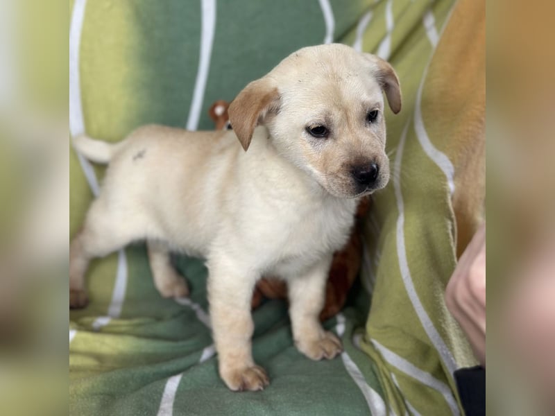 Timmy ein kleiner Sonnenschein