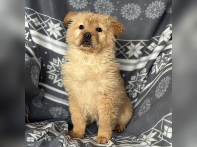 Lummy einer zum Knutschen